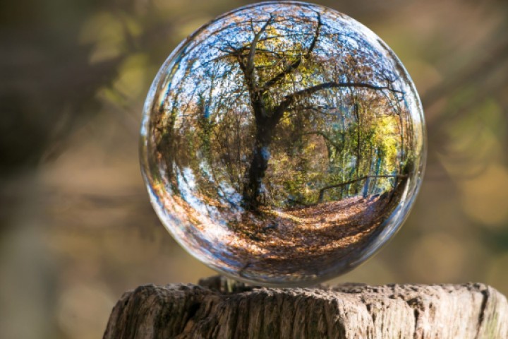 circular economy